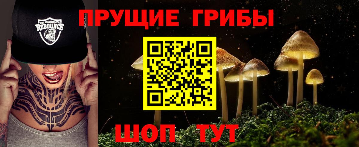 Галлюциногенные грибы ЛСД  Вход с VPN  Галлюциногенные грибы Psilocybine cubensis  где купить наркоту  Гусь-Хрустальный 