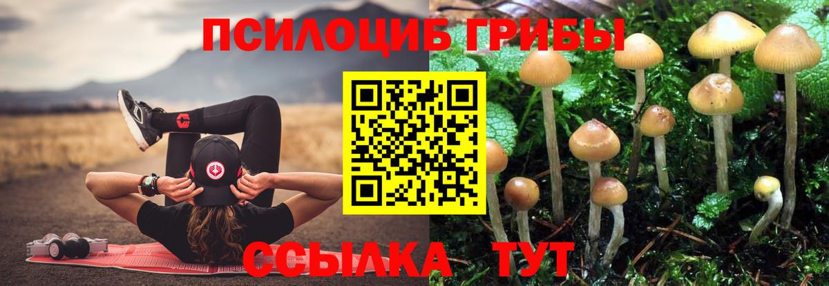 Псилоцибиновые грибы прущие грибы Гусь-Хрустальный